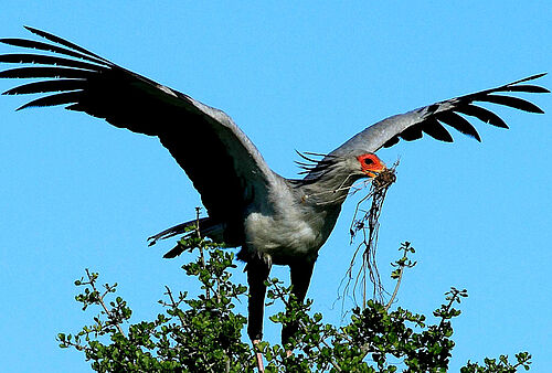 Lake Victoria - Serengeti National Park