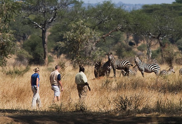 Tarangire National Park