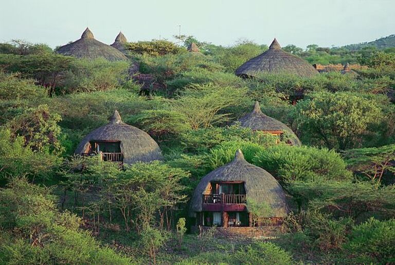  Tanzania safari and a beach Vacation - Habibi World Travel & Tour Africa