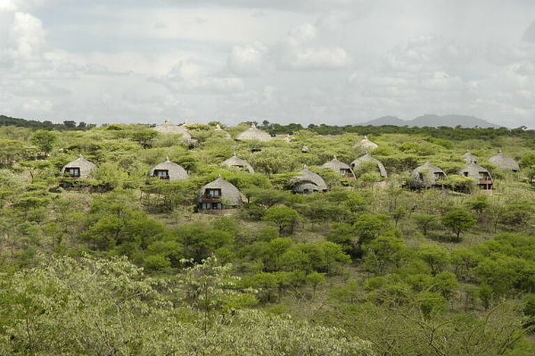  Tanzania safari and a beach Vacation - Habibi World Travel & Tour Africa