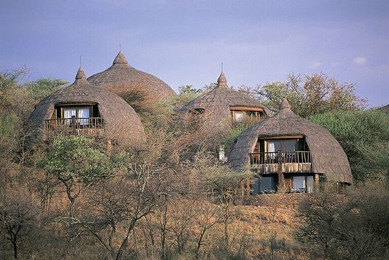  Tanzania Vacation-  https://habibi-world-travel-agency.com/- Habibi World Travel & Tour Africa