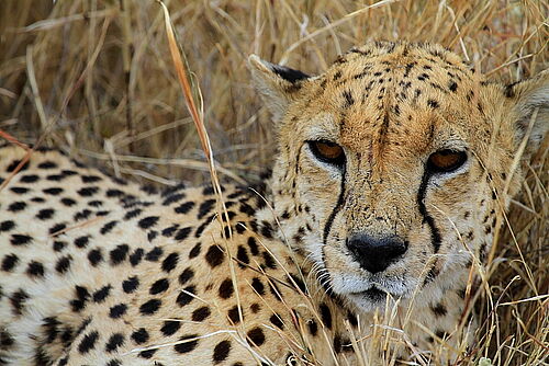 Serengeti National Park