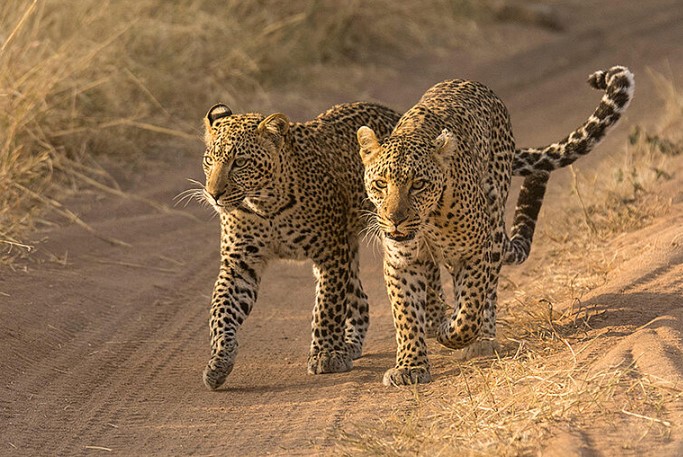 serengeti National Park