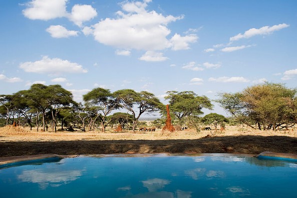 Arusha - Tarangire National Park