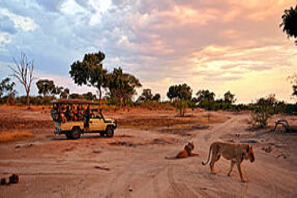 Safari Africa / Zimbabwe