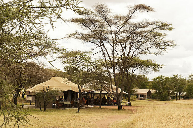 Family Safari