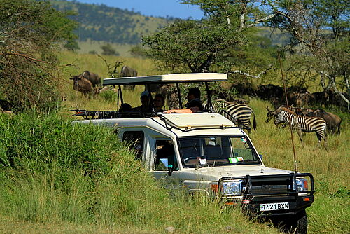 Family Safari