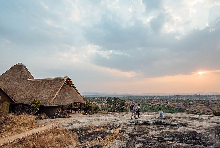  Uganda Gorilla Trekking and Safari Tours - https://habibi-world-travel-agency.com/ - Habibi World Travel & Tour Africa