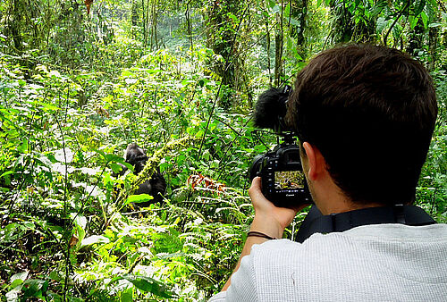 Gorilla Trekking