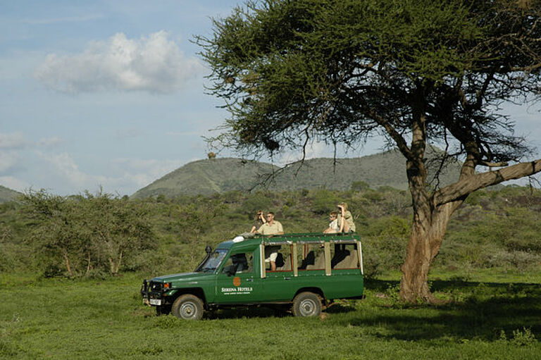  Kilimanjaro Safari Vacation - Habibi World Travel & Tour Africa