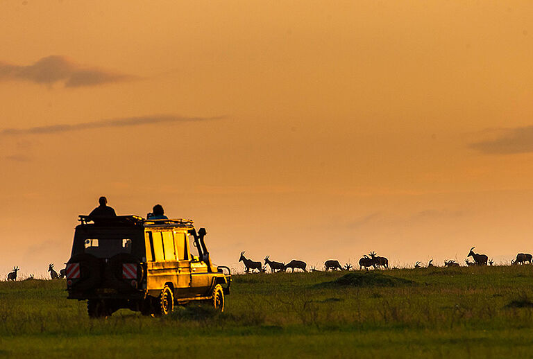 Family Safari