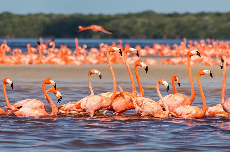 Bike-tour-Yucatan - https://habibi-world-travel-agency.com