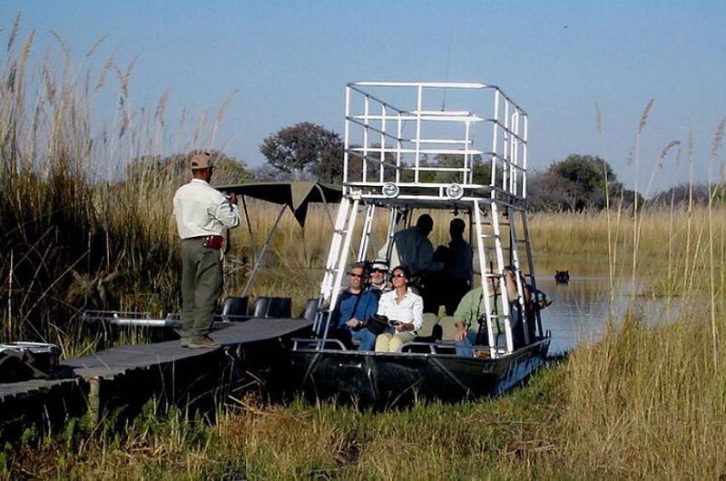 Africa-Botswana-Safari