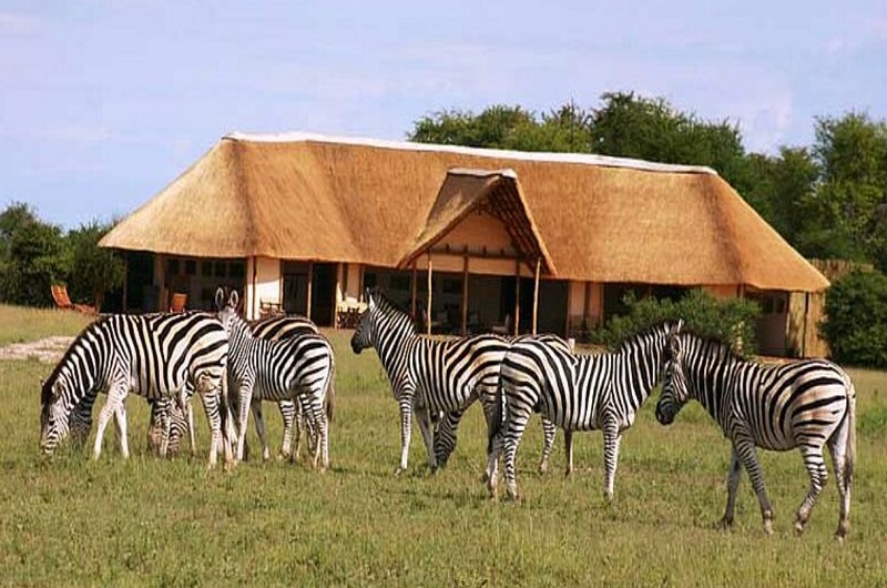 NXAI PAN CAMP, Nxai Pan