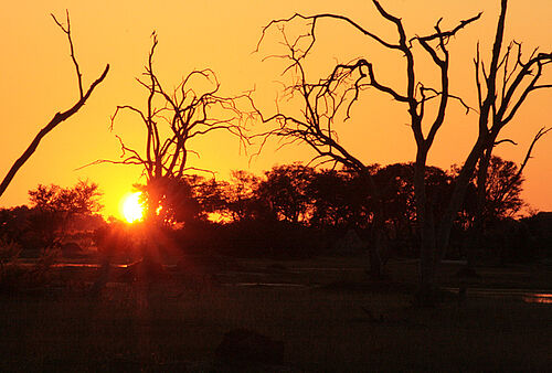 Botswana, Deluxe, Safari, Xaranna Camp, Accommodation, Okavango, Delta