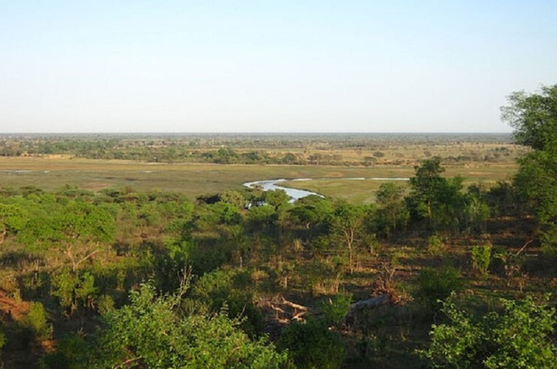 Botswana Best Value Safari https://habibi-world-travel-agency.com/  - Habibi World Travel & Tour Africa