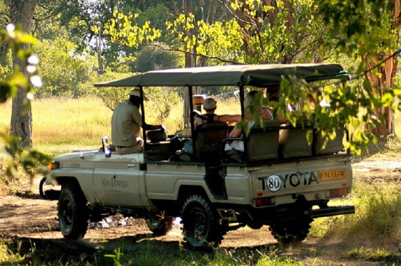 Africa-Botswana-Safari