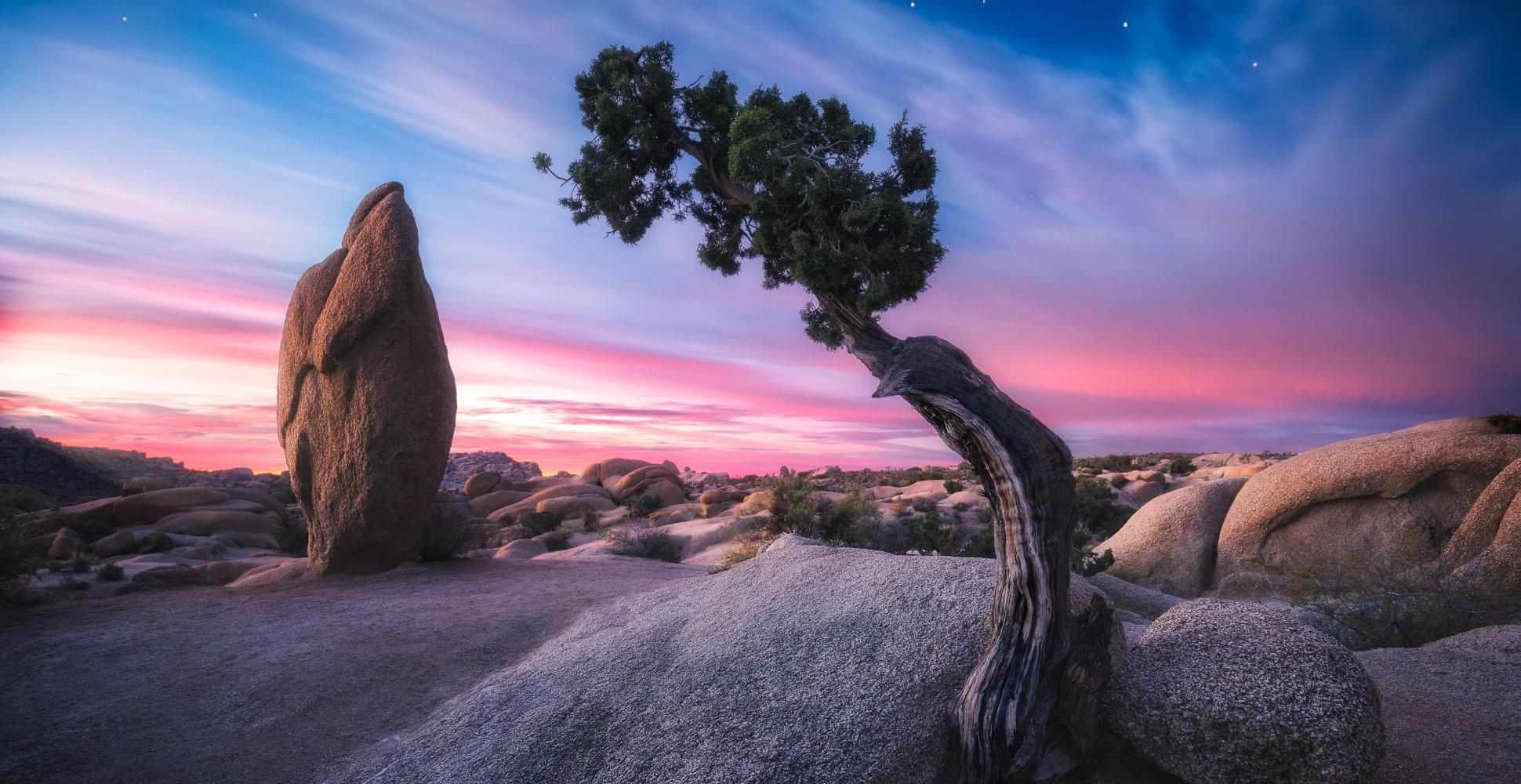  Joshua Tree and Death Trip USA - Habibi World Travel & Tour America