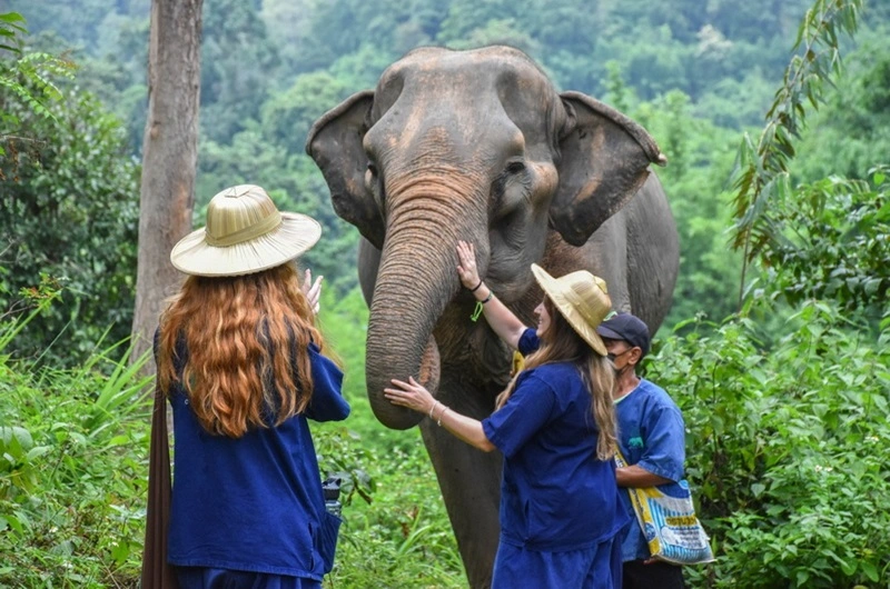 Thailand Trip KANTA ELEPHANT CAMP - 08- HOI AN - Habibi World Travel and Tour - 01