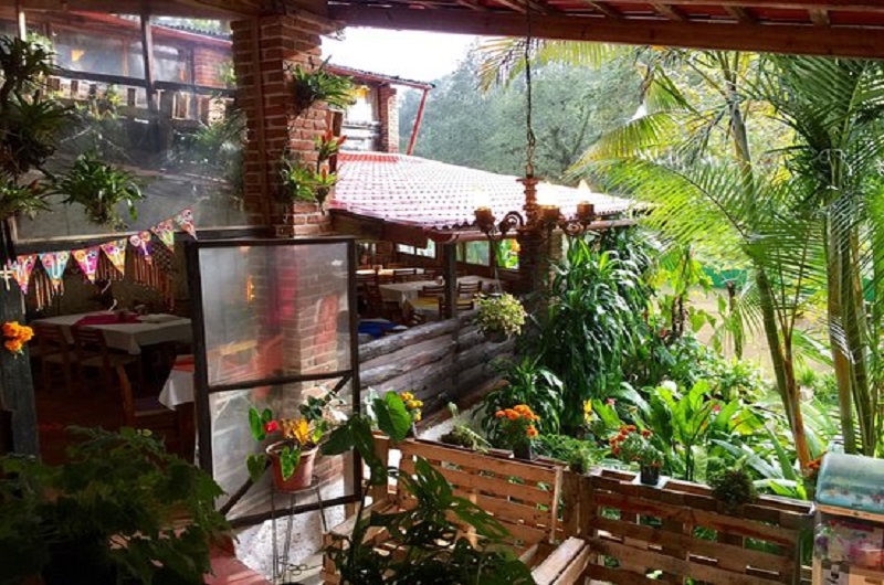 Coatepec Magico - Incredible journey - https://habibi-world-travel-agency.com/