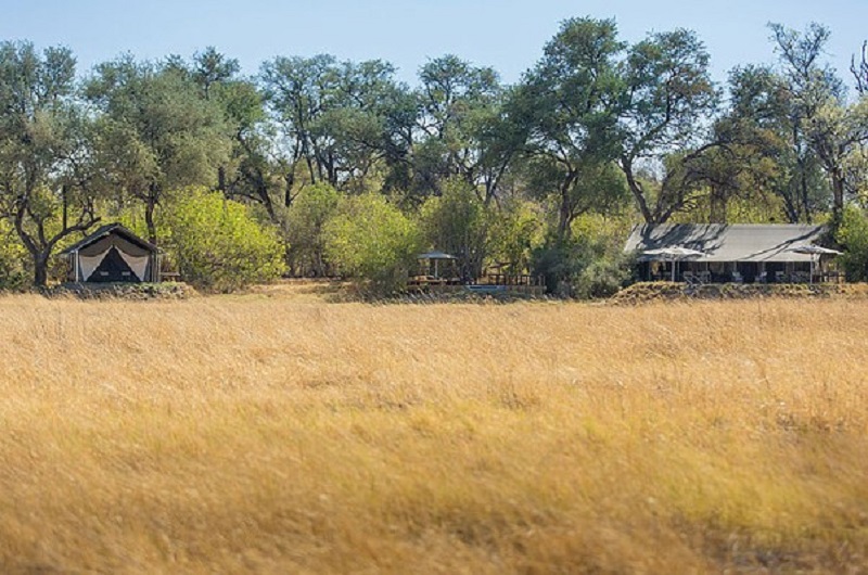 Botswana Family Superior Safari Safari - Habibi World Travel & Tour Africa