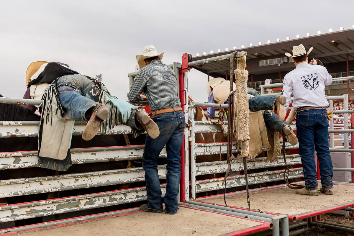  Rodeo Trip USA - Habibi World Travel & Tour America