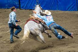  Rodeo Trip USA - Habibi World Travel & Tour America