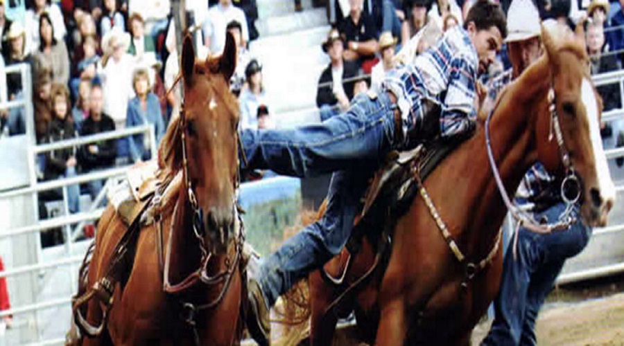  Rodeo Trip USA - Habibi World Travel & Tour America