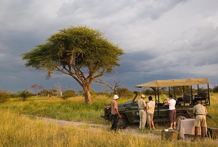 9 days Botswana Deluxe Safari  https://habibi-world-travel-agency.com/ - Habibi World Travel & Tour Africa