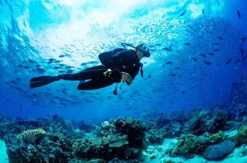 Scuba Diving In Dubai / Habibi World Travel & Tour