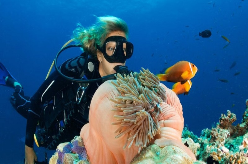 Scuba Diving In Dubai / Habibi World Travel & Tour