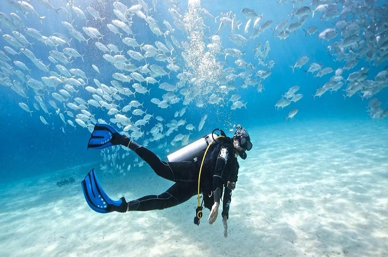 Scuba Diving In Dubai / Habibi World Travel & Tour