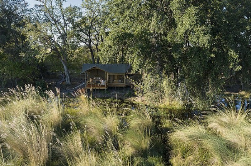 Botswana Family Superior Safari Safari https://habibi-world-travel-agency.com - Habibi World Travel & Tour Africa