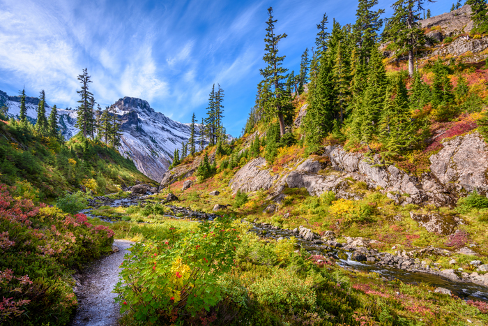 Yellowstone and Grand Teton