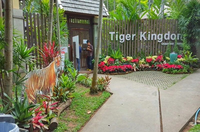 Chang Mai TIGER KINGDOM - Habibi World Travel and Tour - 09