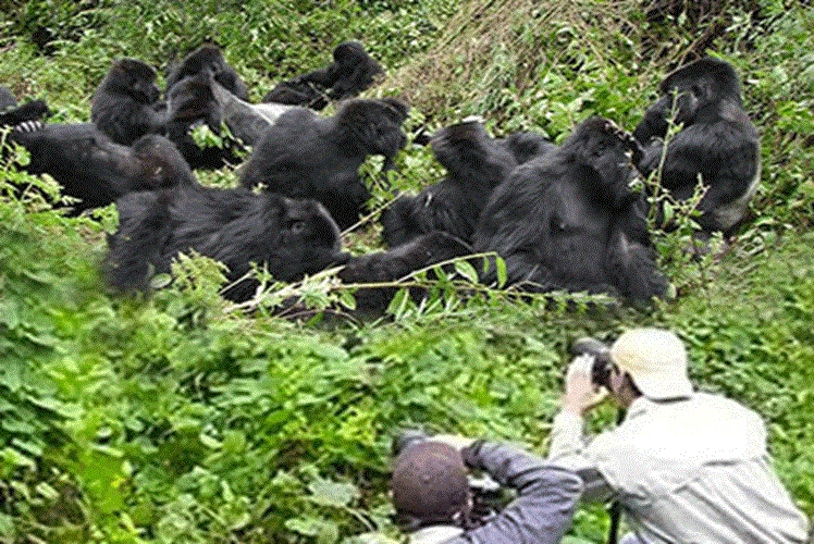 Habibi World Travel Ruanda-Safari-Touren