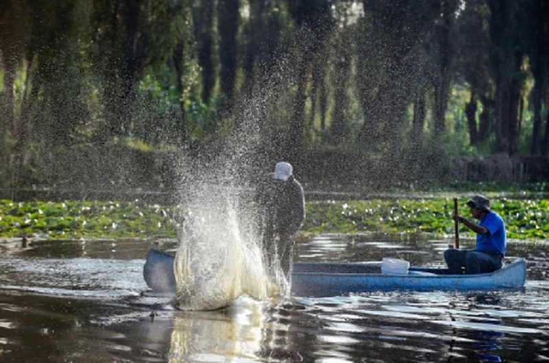 Xochimilco Floating Gardens