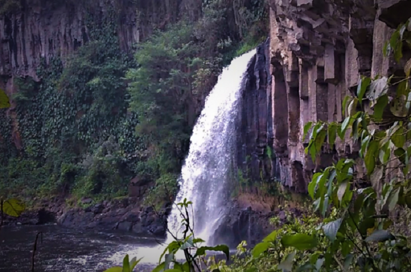 Coatepec Magico - Incredible journey - https://habibi-world-travel-agency.com/