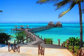 Safari and Beach