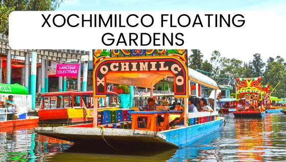 Xochimilco Floating Gardens