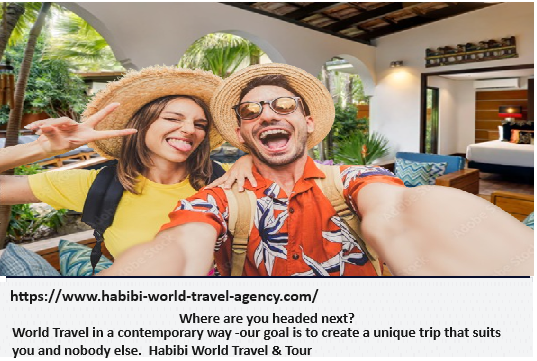 Safari Tours