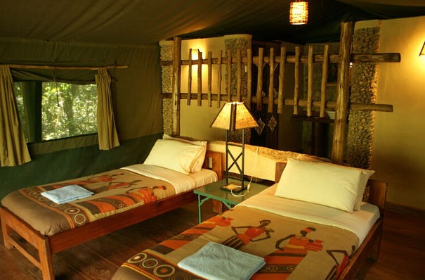 Best of Uganda safari https://habibi-world-travel-agency.com - Habibi World Travel & Tour Africa